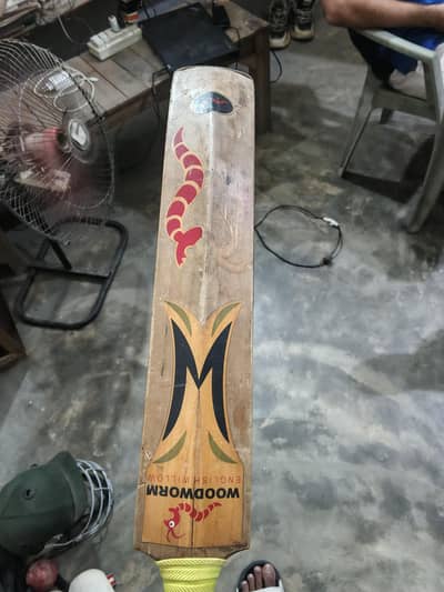 Hard ball Cricket bat