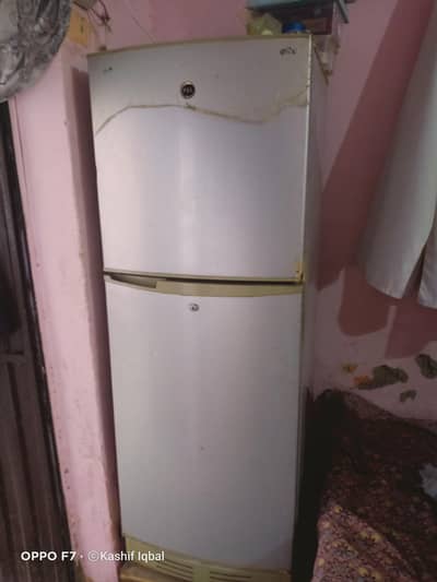 Pel fridge medium size