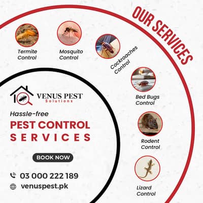 Fumigation Services | Termite Control | Deemak control | pest control