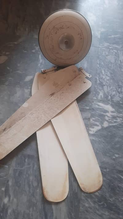 Ceiling Fan 0322 8636368