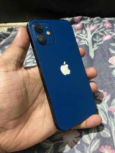 Apple iPhone 12