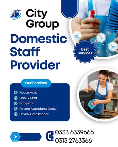 Maid, Cook, Babysitter, Driver, Patient attendant, Nurse