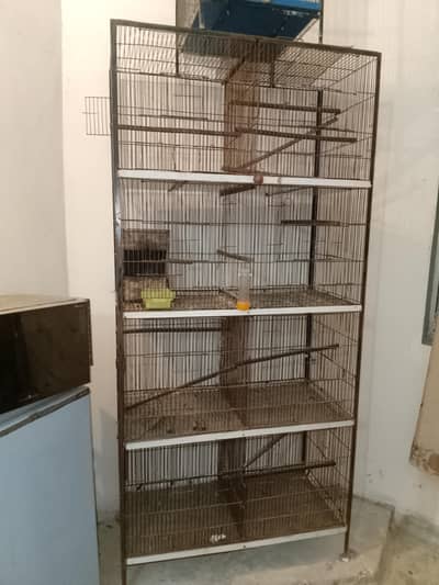 pinjraa For sale