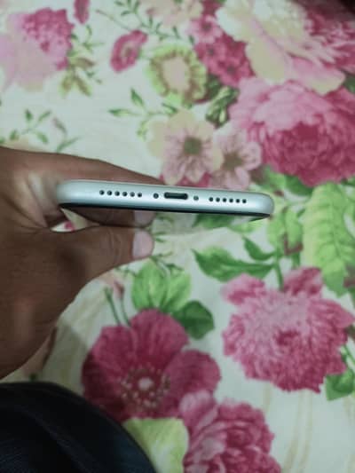Iphone 11 Condition 10/10