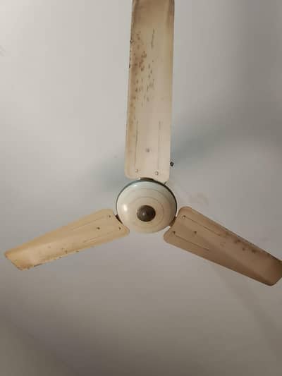 Ceiling Fan