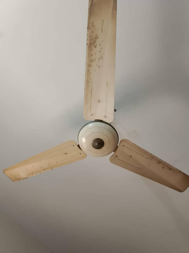 Ceiling Fan 0