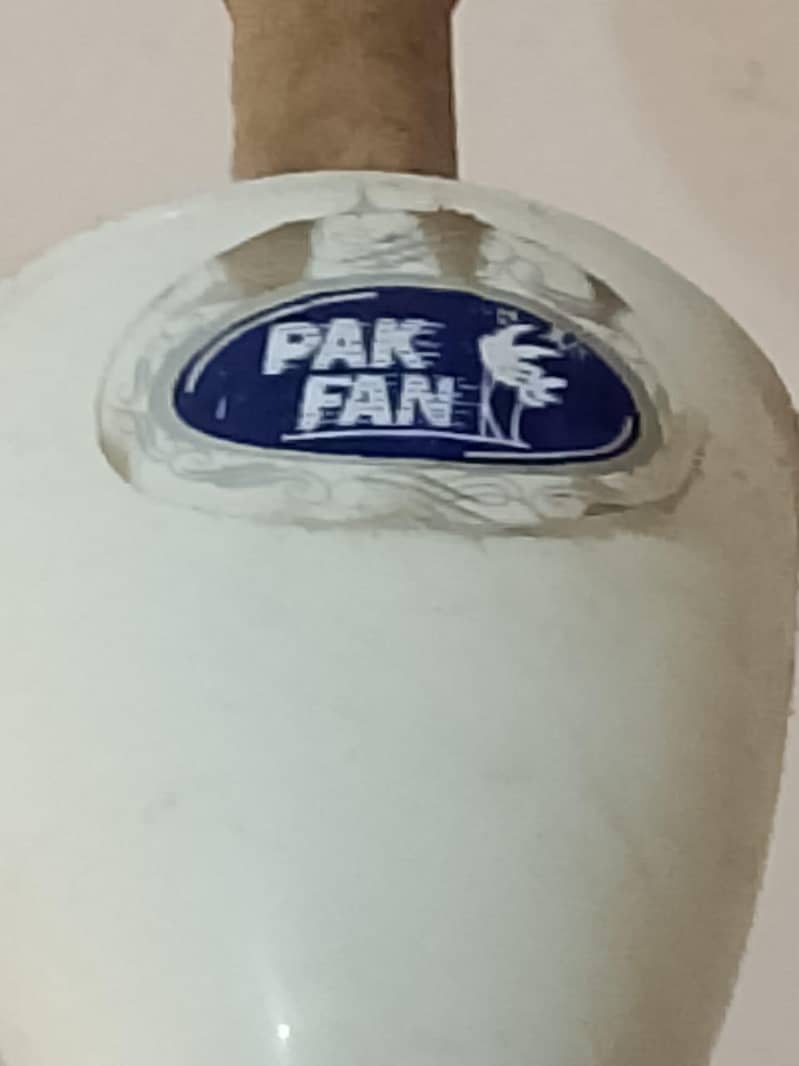 Ceiling Fan 2