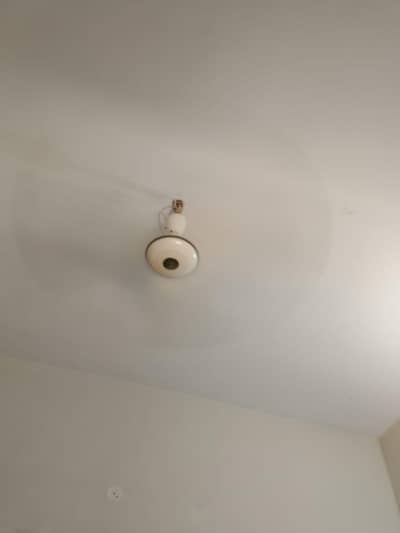 Ceiling Fan - Pak Fan