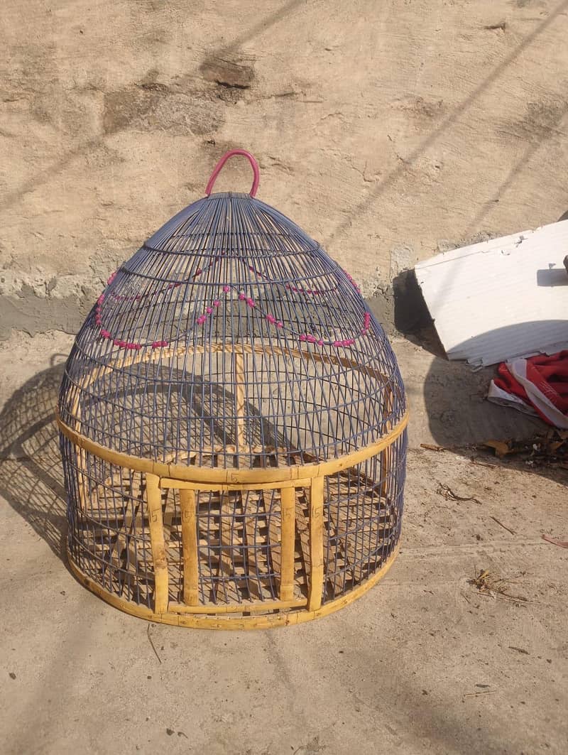 teetar cage 1