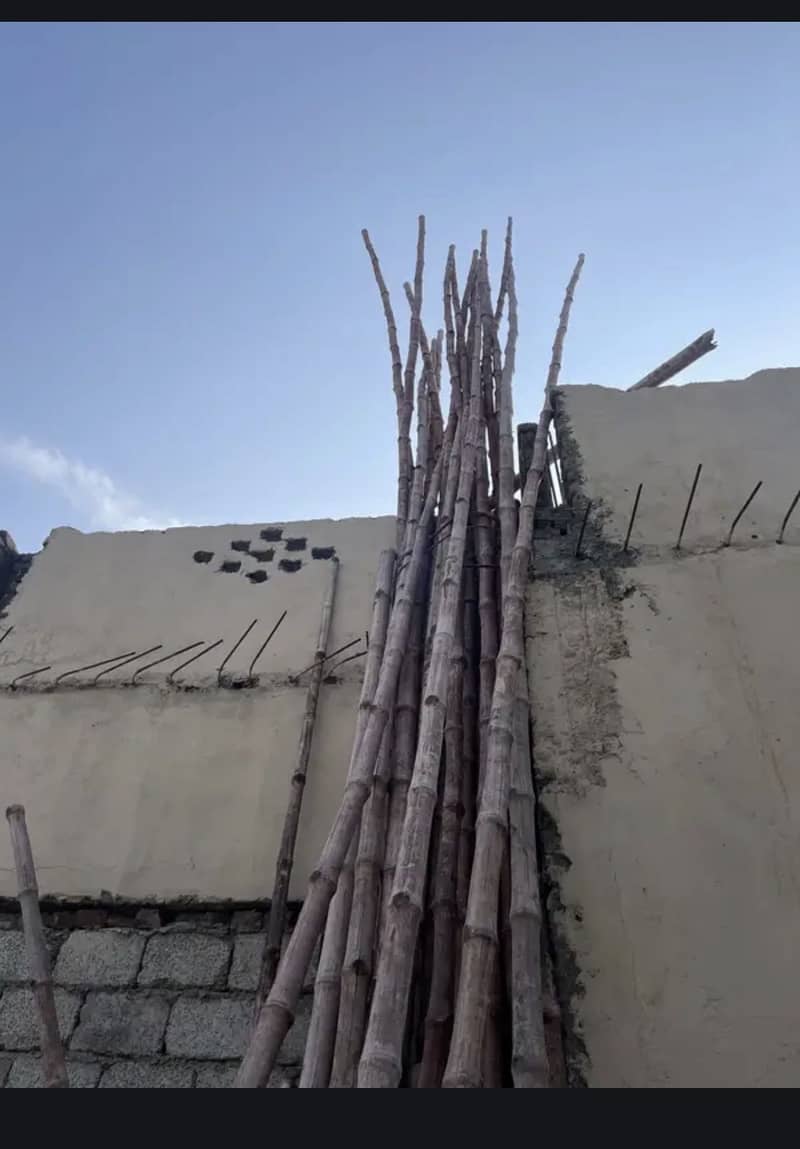 Bamboo 0