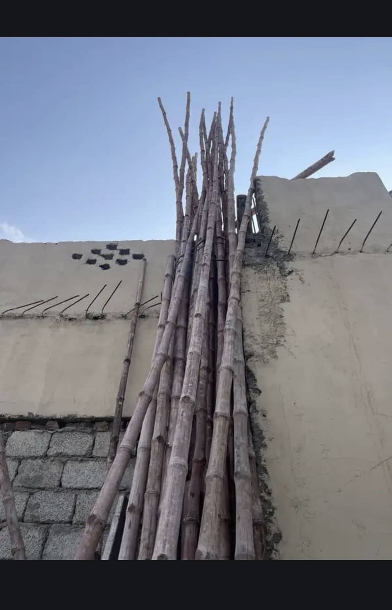 Bamboo 1