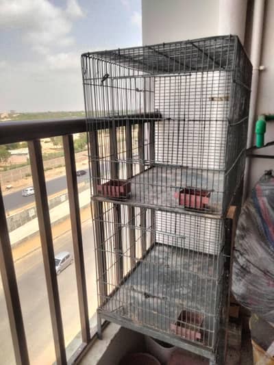 bird's cage