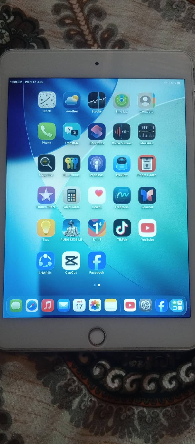 ipad mini 5 3