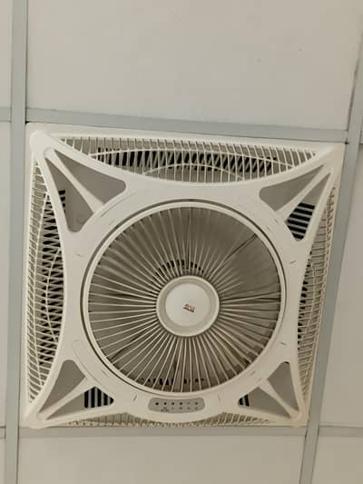 Ceiling Fans for sale.