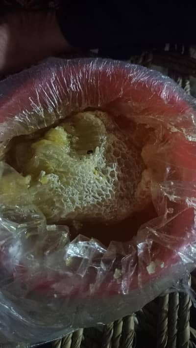 honey 1000% pure shak ke koi kunsash nhi hai ln Bhai rapta kare