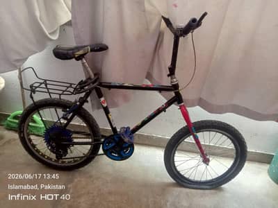 Willing Cycle