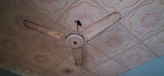 fan final 3500
