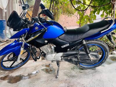 bike for sell