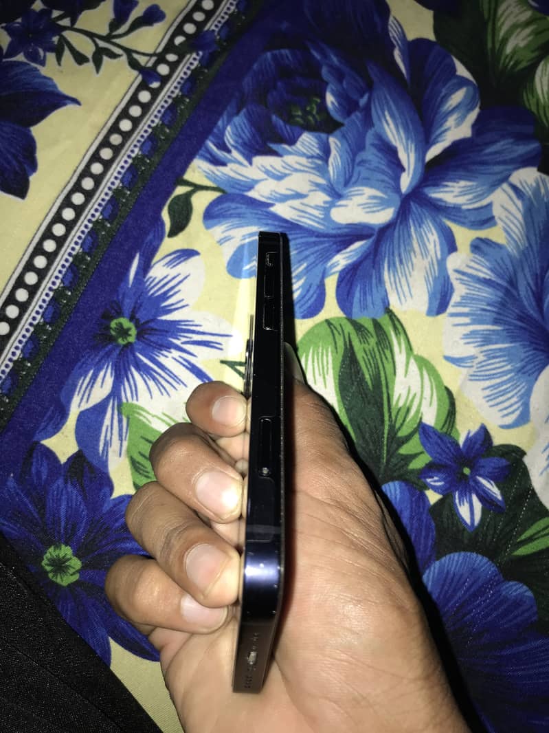 iPhone 12 mini 1