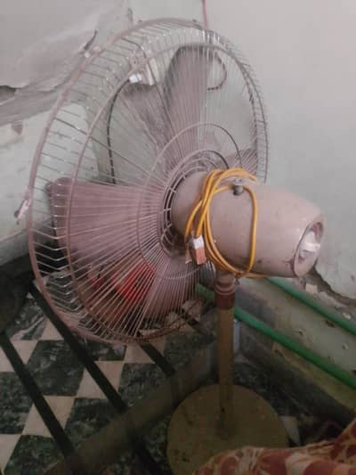 umber fan