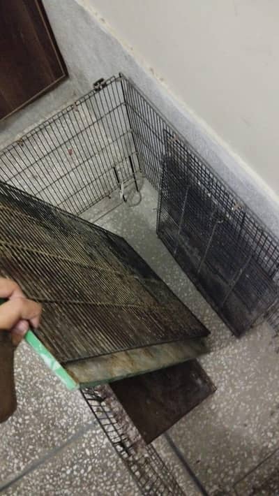 bird cages for sale