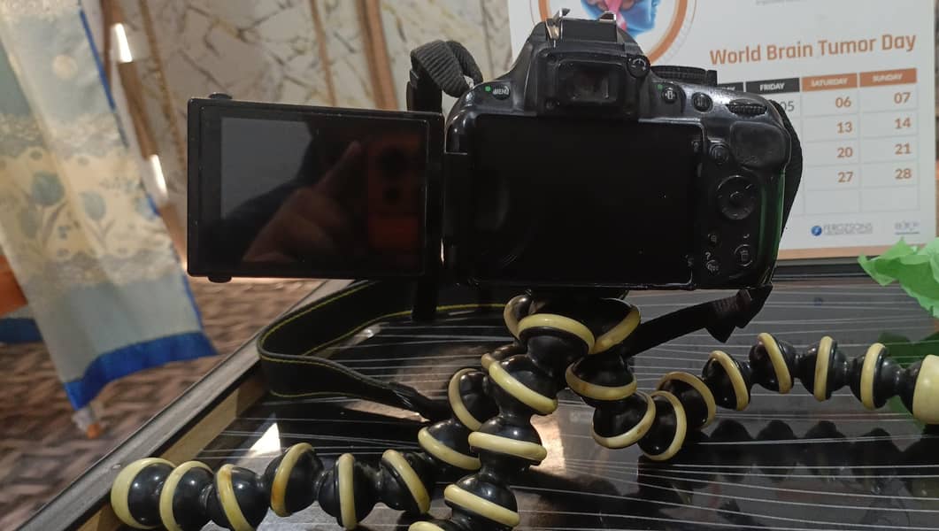 DSLRS 1