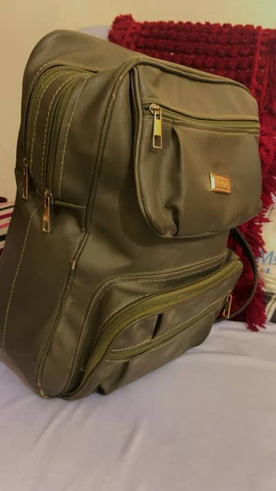 Storage Bag Perfect Condition