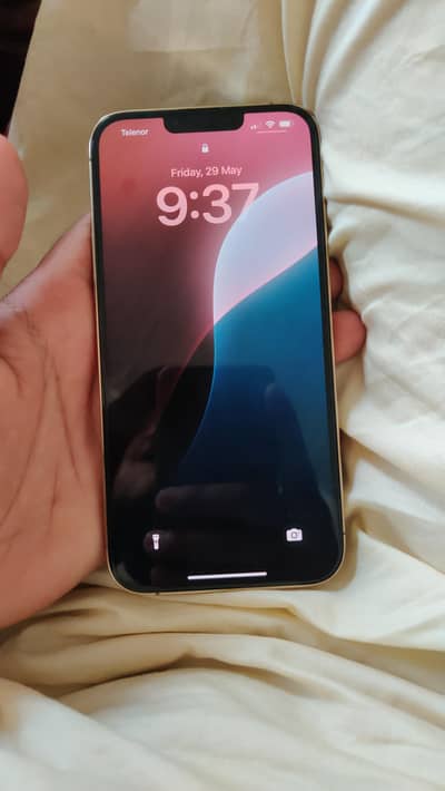 Apple iPhone 13 Pro Max
