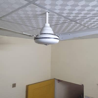 indus fans