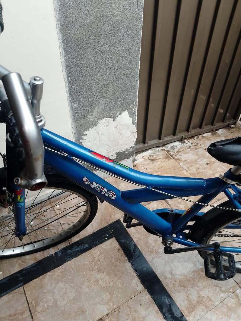 cycle 6