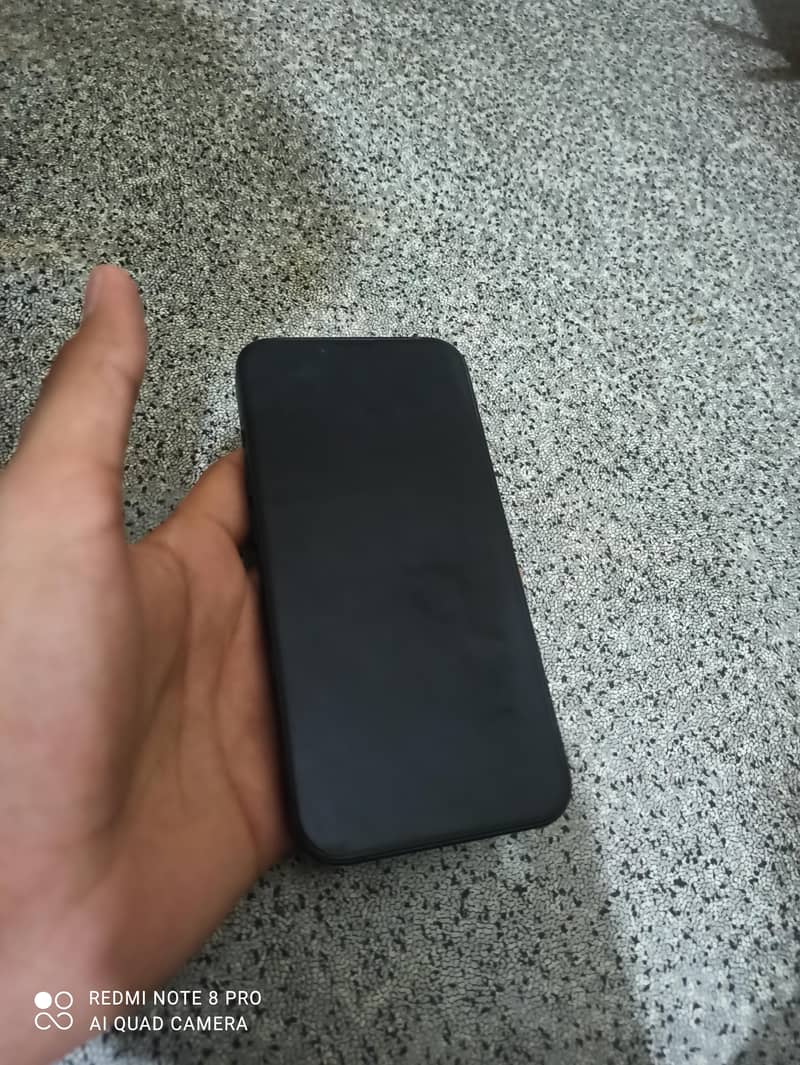 Apple iPhone 13 0