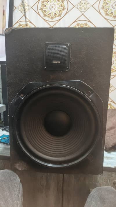 10 inch single speaker