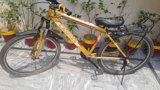 Gairi and Alloy cycle