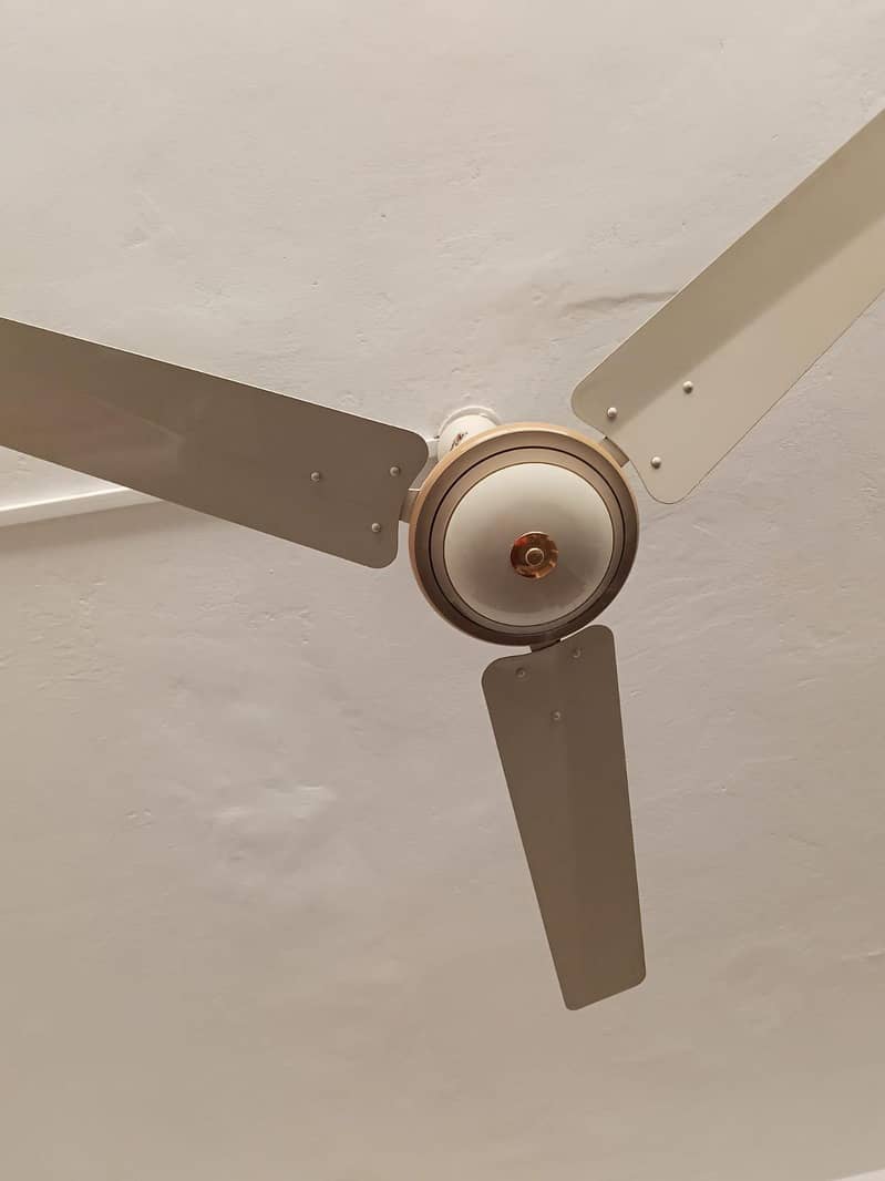 ceiling fan 1