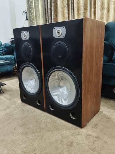 Panasonic max 8000 15 -inch Hi-fi Sony shake woofers