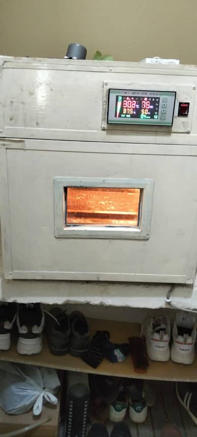 Imported Egg Incubator with Hatcher (fully automatic)