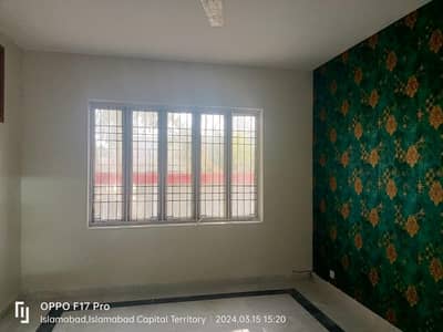 Wallpaper,pvc panel,wood&vinyl floor,kitchen,led rack,ceiling,blind