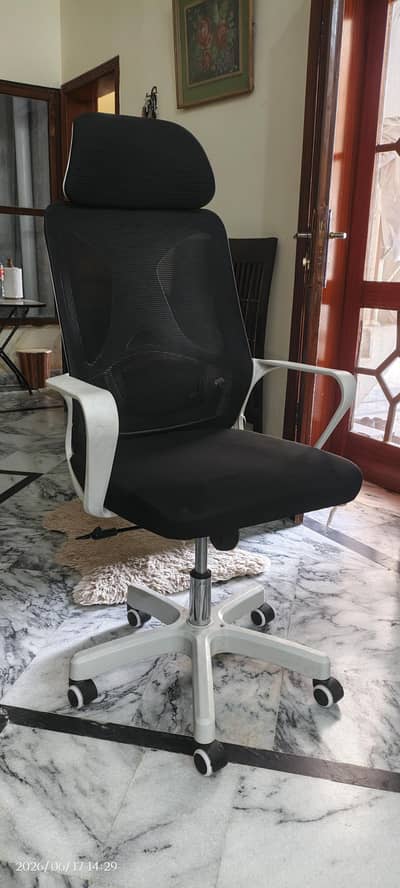 Ergonomic Mesh Office Chair