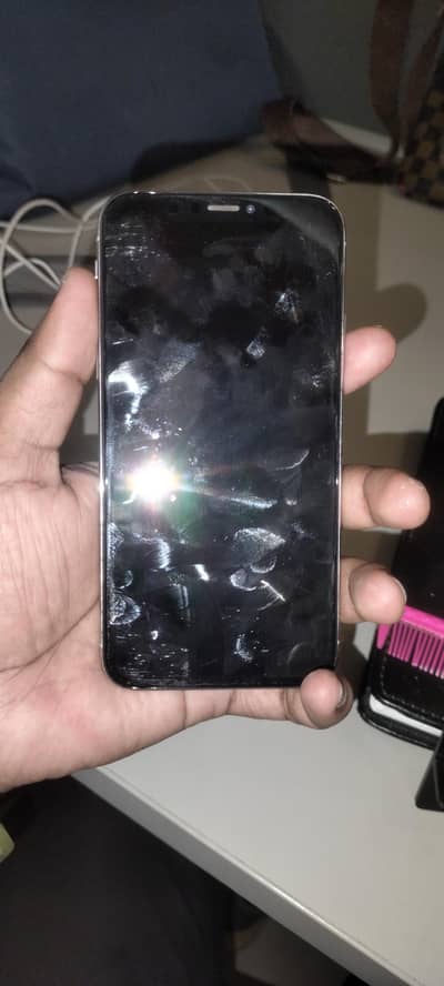 Apple iPhone X
