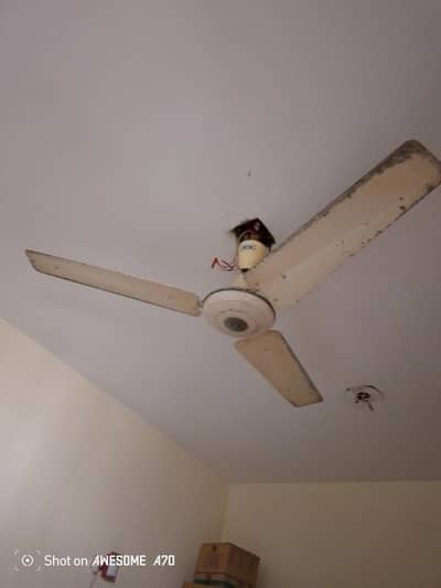 Celling fan for sell