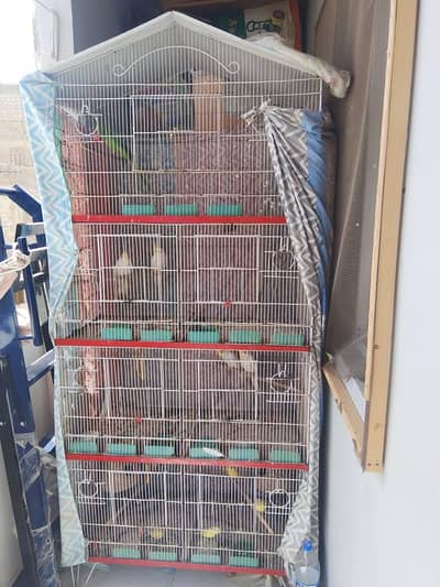 7 portion cage