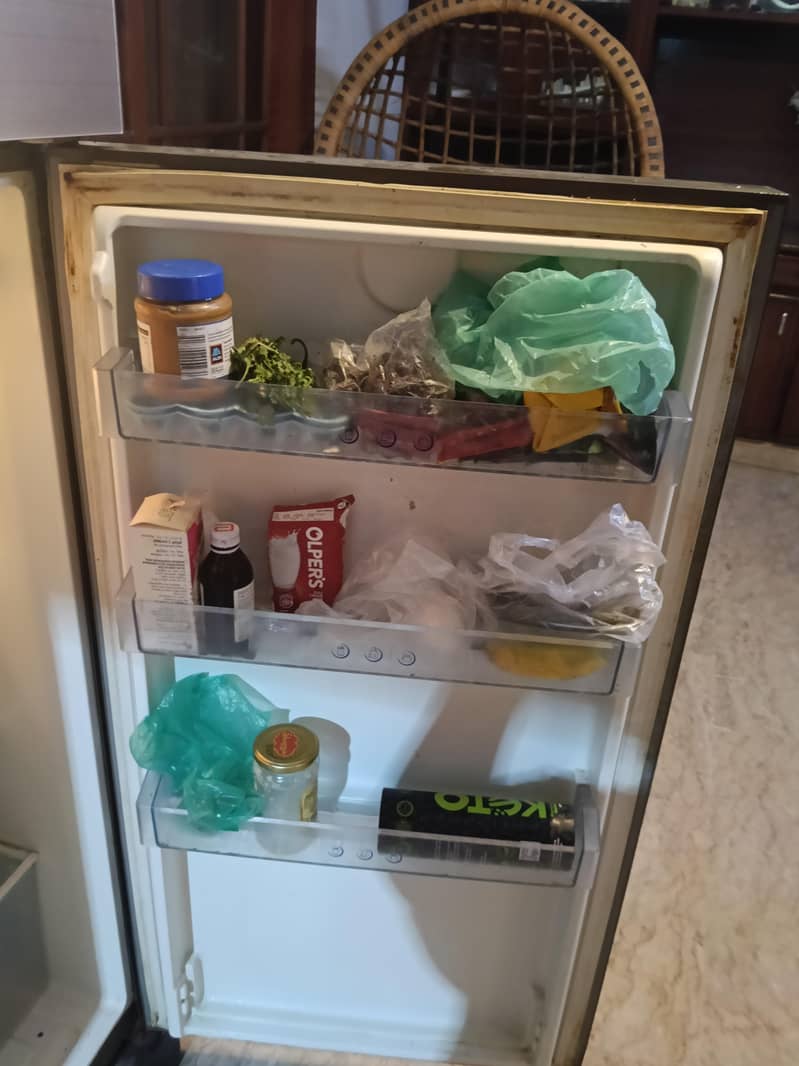 Fridge 1