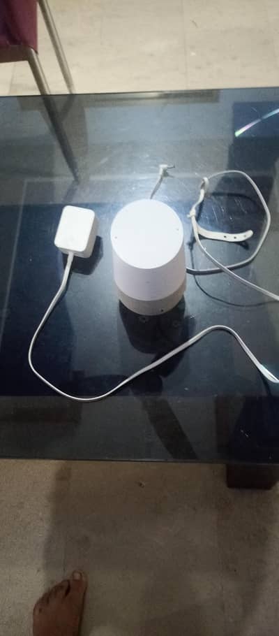 Google assistant- AI Technology . best for kids development