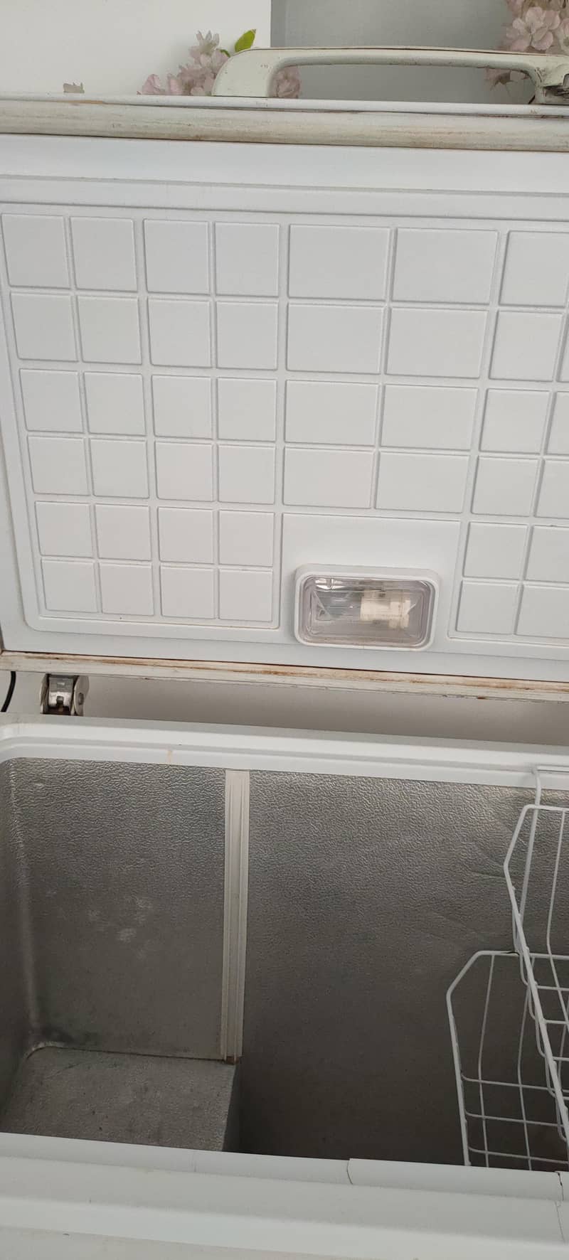 Deep Freezer 1