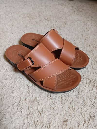 Men's Footwear/ Slides/ Chappal/ Slipper