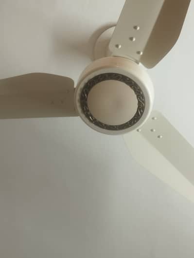 Pak Fans Ceiling Fan 56 inch - Copper