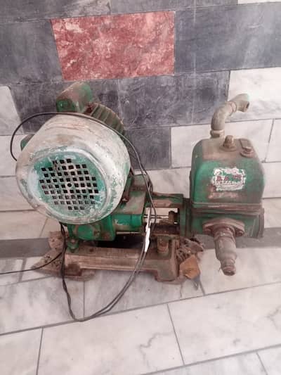 sher dunky water pump