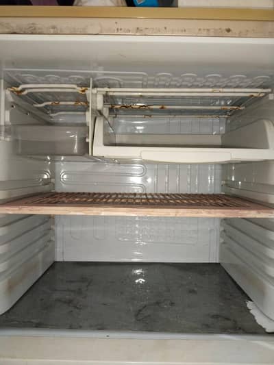 PEL Full Size Refrigerator for Sale