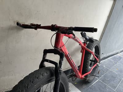 Cycle