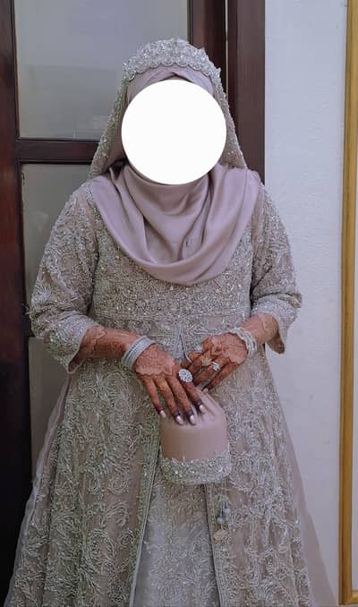 party dress/engagment/walima/bridal/maxi dress/trendy